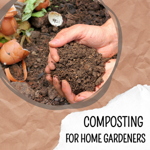 Composting for Home 